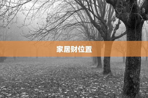 家居财位置