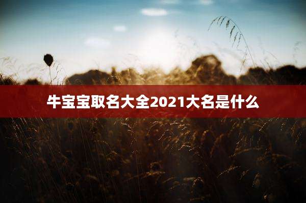 牛宝宝取名大全2021大名是什么