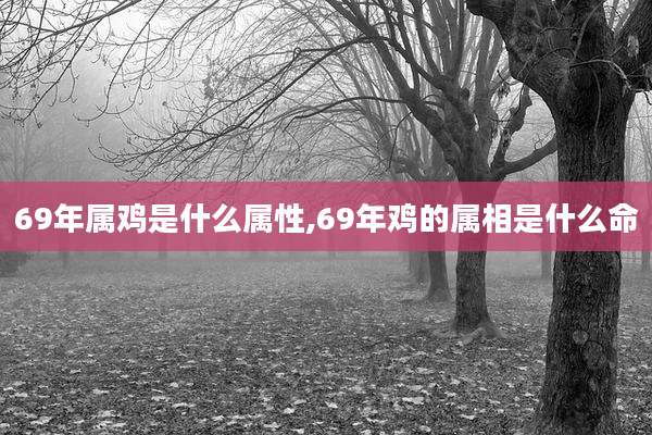 69年属鸡是什么属性,69年鸡的属相是什么命