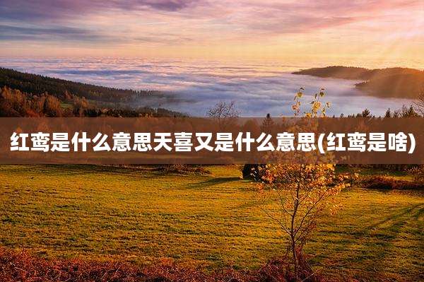 红鸾是什么意思天喜又是什么意思(红鸾是啥)