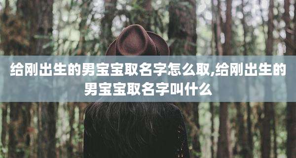 给刚出生的男宝宝取名字怎么取,给刚出生的男宝宝取名字叫什么