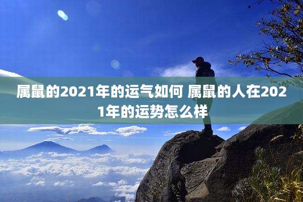 属鼠的2021年的运气如何 属鼠的人在2021年的运势怎么样