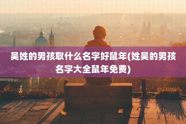吴姓的男孩取什么名字好鼠年(姓吴的男孩名字大全鼠年免费)