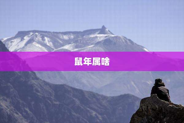 鼠年属啥