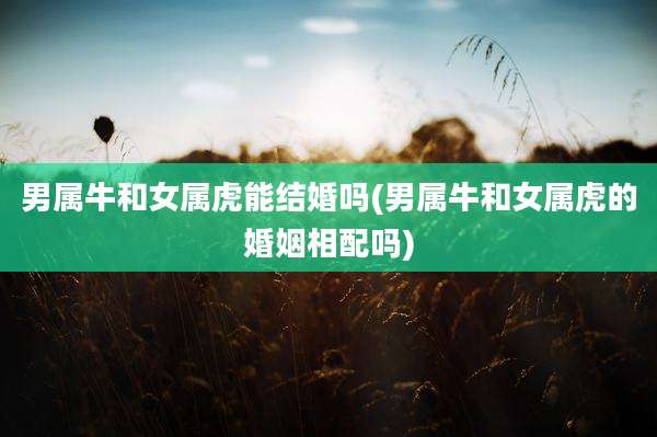 男属牛和女属虎能结婚吗(男属牛和女属虎的婚姻相配吗)