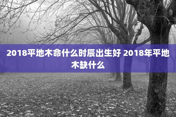 2018平地木命什么时辰出生好 2018年平地木缺什么