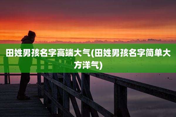 田姓男孩名字高端大气(田姓男孩名字简单大方洋气)