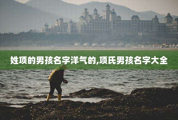 姓项的男孩名字洋气的,项氏男孩名字大全