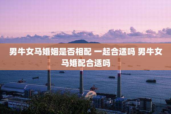 男牛女马婚姻是否相配 一起合适吗 男牛女马婚配合适吗