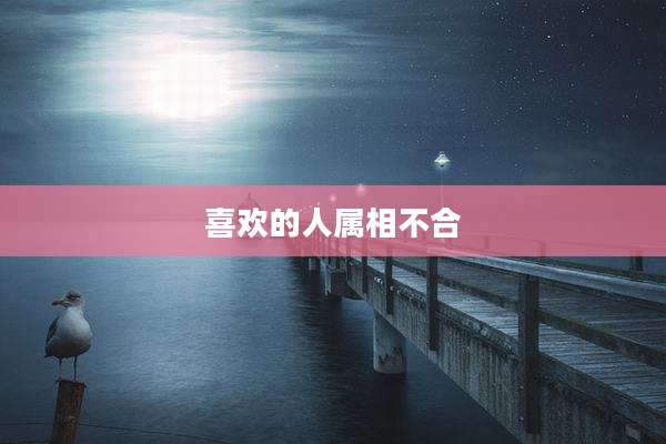 喜欢的人属相不合