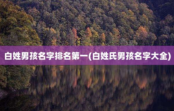 白姓男孩名字排名第一(白姓氏男孩名字大全)