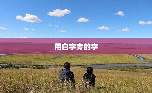 用白字旁的字