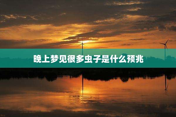 晚上梦见很多虫子是什么预兆