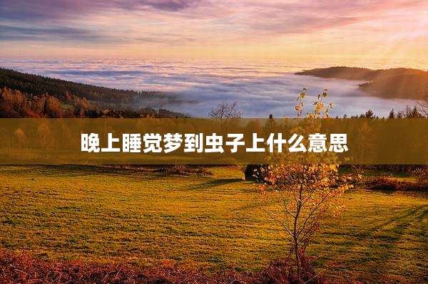 晚上睡觉梦到虫子上什么意思