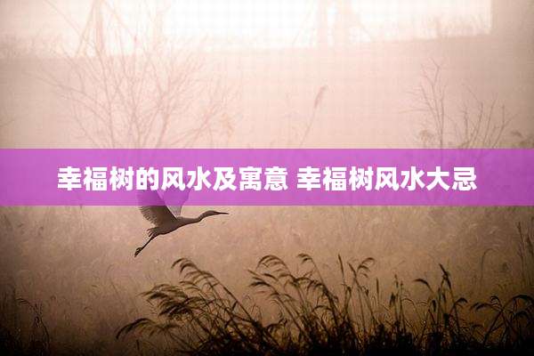 幸福树的风水及寓意 幸福树风水大忌