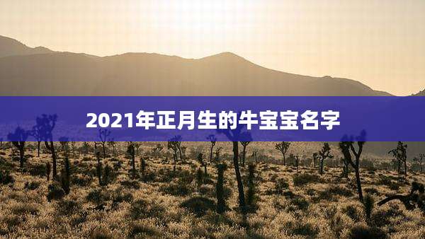 2021年正月生的牛宝宝名字