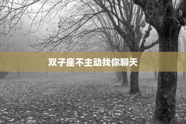 双子座不主动找你聊天