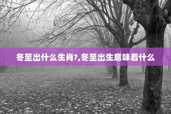 冬至出什么生肖?,冬至出生意味着什么