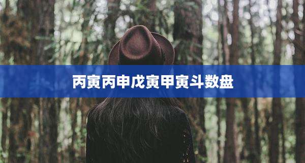丙寅丙申戊寅甲寅斗数盘