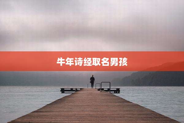 牛年诗经取名男孩