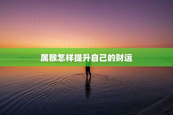 属猴怎样提升自己的财运
