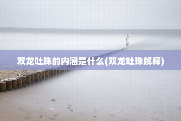 双龙吐珠的内涵是什么(双龙吐珠解释)