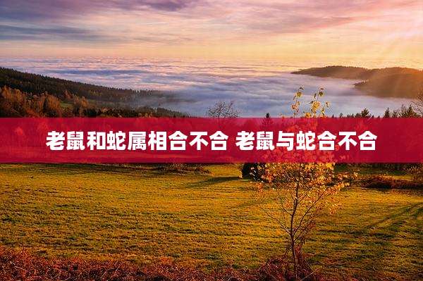 老鼠和蛇属相合不合 老鼠与蛇合不合