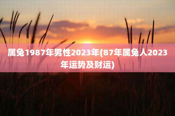 属兔1987年男性2023年(87年属兔人2023年运势及财运)