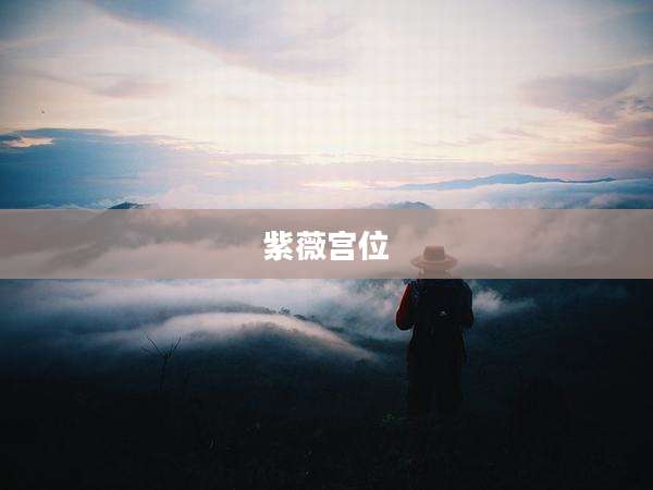 紫薇宫位