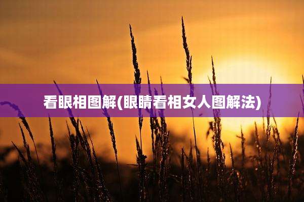 看眼相图解(眼睛看相女人图解法)