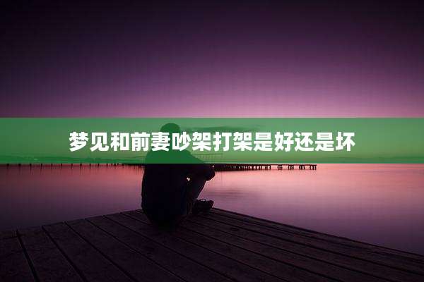 梦见和前妻吵架打架是好还是坏