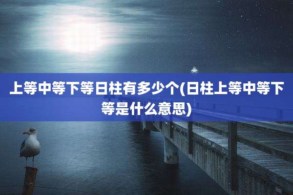 上等中等下等日柱有多少个(日柱上等中等下等是什么意思)