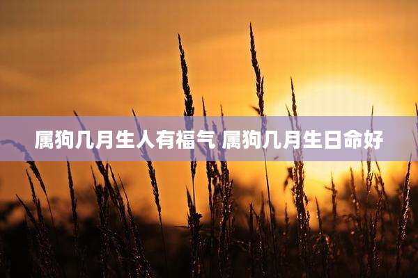 属狗几月生人有福气 属狗几月生日命好