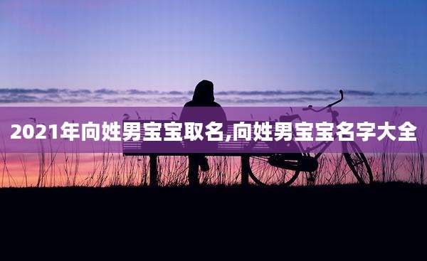 2021年向姓男宝宝取名,向姓男宝宝名字大全