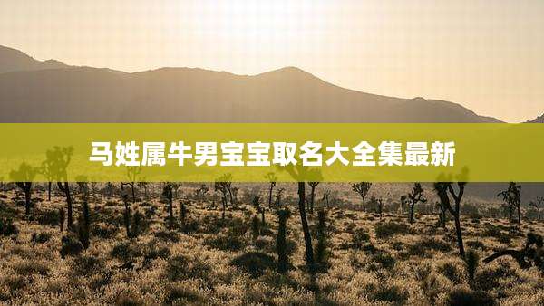 马姓属牛男宝宝取名大全集最新