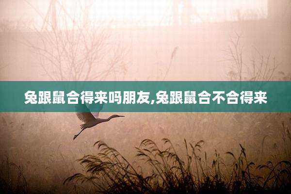 兔跟鼠合得来吗朋友,兔跟鼠合不合得来