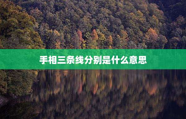 手相三条线分别是什么意思