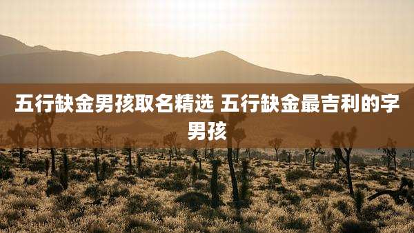 五行缺金男孩取名精选 五行缺金最吉利的字男孩