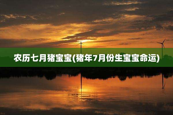 农历七月猪宝宝(猪年7月份生宝宝命运)