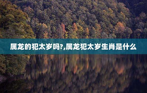 属龙的犯太岁吗?,属龙犯太岁生肖是什么