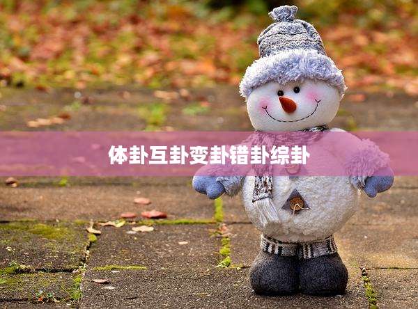 体卦互卦变卦错卦综卦