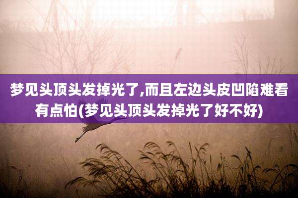 梦见头顶头发掉光了,而且左边头皮凹陷难看有点怕(梦见头顶头发掉光了好不好)