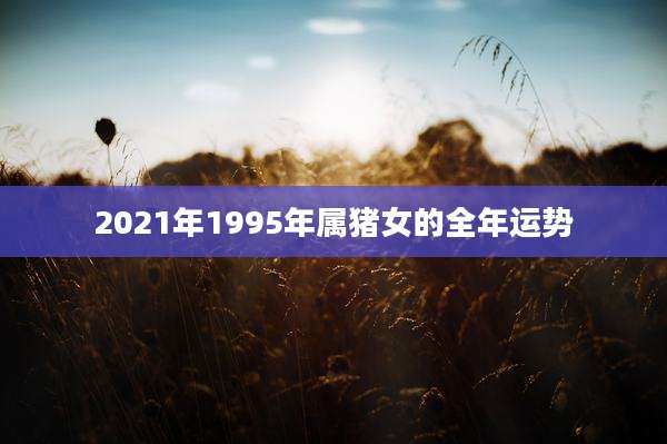 2021年1995年属猪女的全年运势