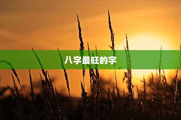 八字最旺的字