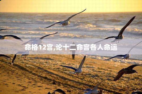 命格12宫,论十二命宫各人命运