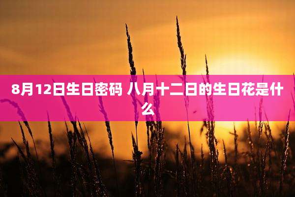 8月12日生日密码 八月十二日的生日花是什么