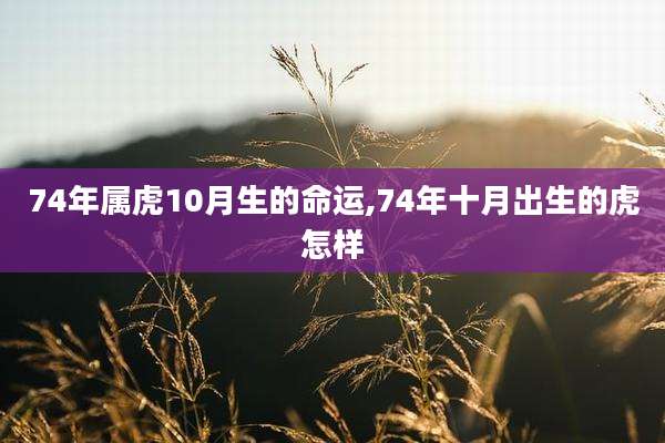 74年属虎10月生的命运,74年十月出生的虎怎样