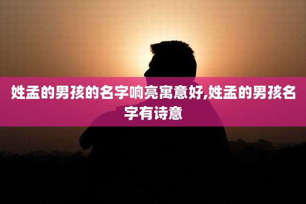 姓孟的男孩的名字响亮寓意好,姓孟的男孩名字有诗意