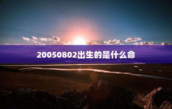 20050802出生的是什么命