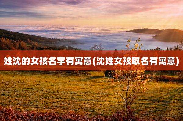 姓沈的女孩名字有寓意(沈姓女孩取名有寓意)